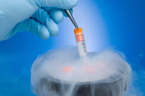 Egg freezing