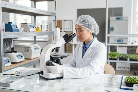 Frozen Embryo Transfer